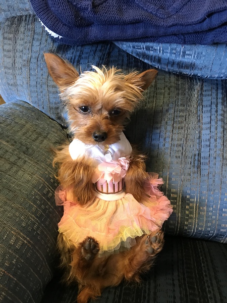 Molly 