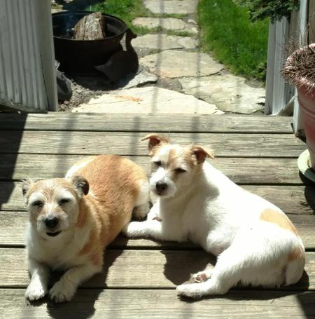 Maggie and Bailey