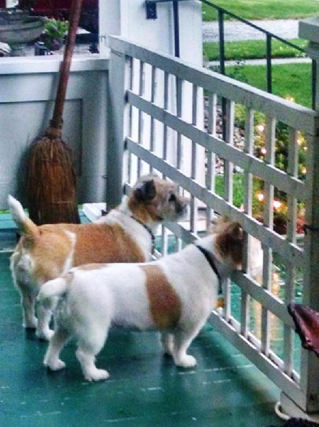 Maggie and Bailey