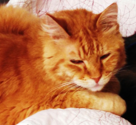 Lionel