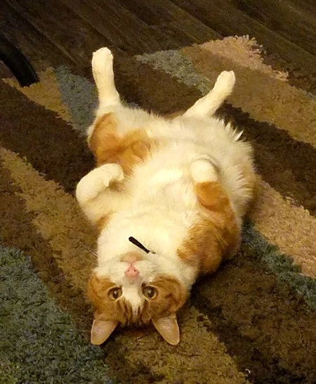 Ralph