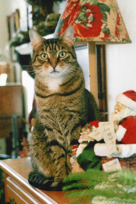 Tigger