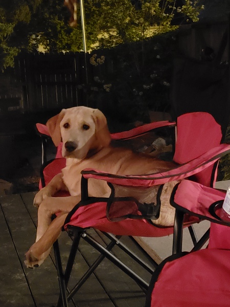 Nash