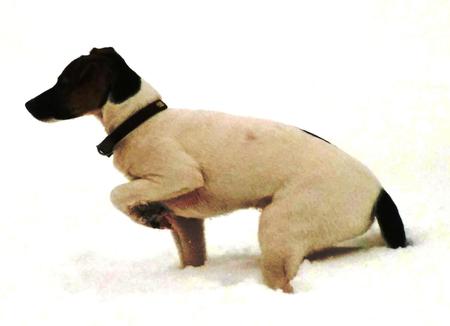 JR