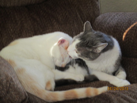 Burt and Casper