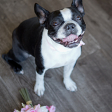 Entry image for Kyah