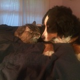 Entry image for Stella and Casco 