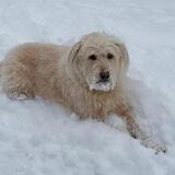 Entry image for sammey