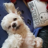 Entry image for Rosie