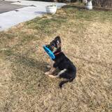 Entry image for Maddie