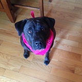 Entry image for Lucy