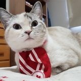 Entry image for Ming-ming