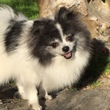 Entry image for TinktheTank