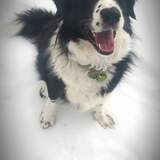 Entry image for Christine "Christy" Mcvie