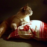 Entry image for Annabella