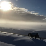 Entry image for Ruby