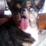 Entry image for Winky 