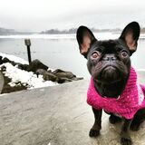 Entry image for Charlotte