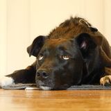 Entry image for Samantha