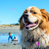 Entry image for Cleo