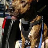 Entry image for meeka