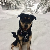 Entry image for Meera