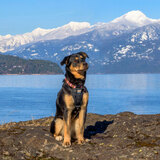 Entry image for Meera