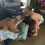 Entry image for Loca