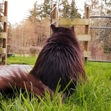 Entry image for Daisy