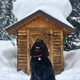 Entry image for Sydney 