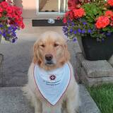 Entry image for Molly