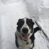 Entry image for Jake