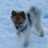 Entry image for Hopper