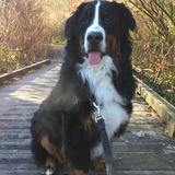 Entry image for Stanley