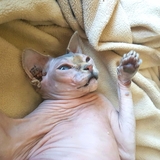 Entry image for Khloe