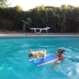 Entry image for Lucy