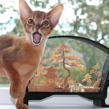 Entry image for Rumi