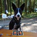 Entry image for Sir Winston Norman