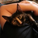 Entry image for Caly