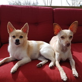 Entry image for Shelley and Luke 