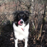 Entry image for Maggie