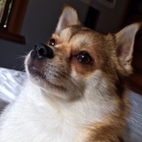 Entry image for Kilo