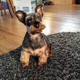 Entry image for Benny