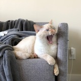 Entry image for Claude