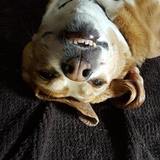 Entry image for Teara