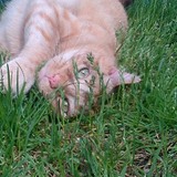 Entry image for Richard