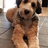 Entry image for Chase