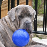 Entry image for Floyd