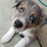 Entry image for Finder