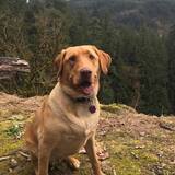 Entry image for Winnie